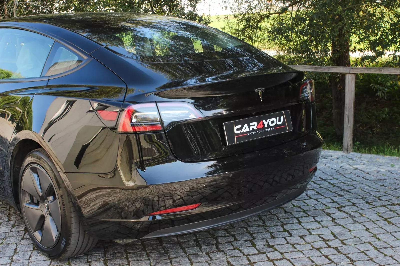 Tesla Model 3 Standard RWD Plus 10