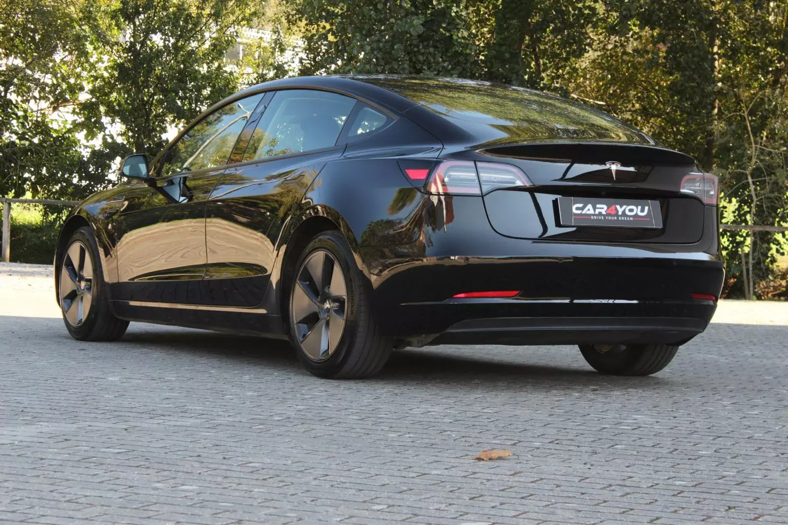 Tesla Model 3 Standard RWD Plus 11