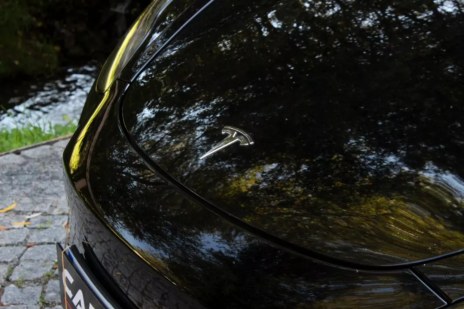 Tesla Model 3 Standard RWD Plus 14