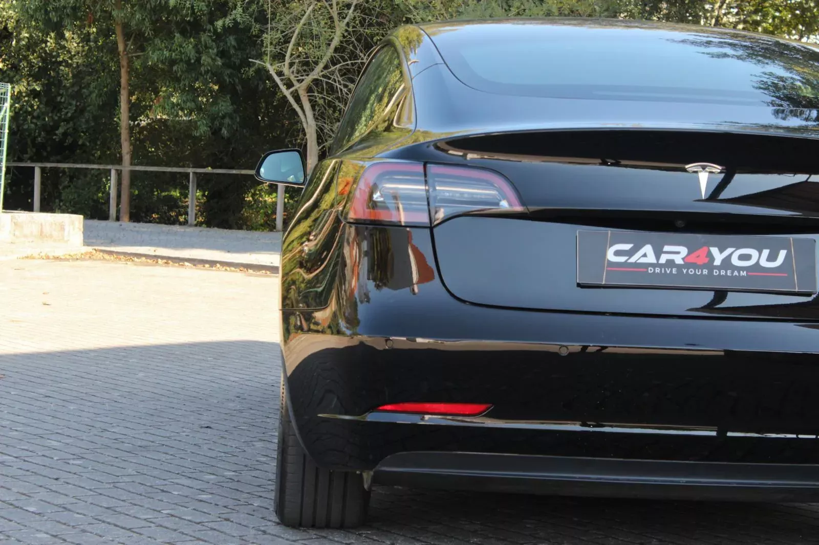 Tesla Model 3 Standard RWD Plus 17