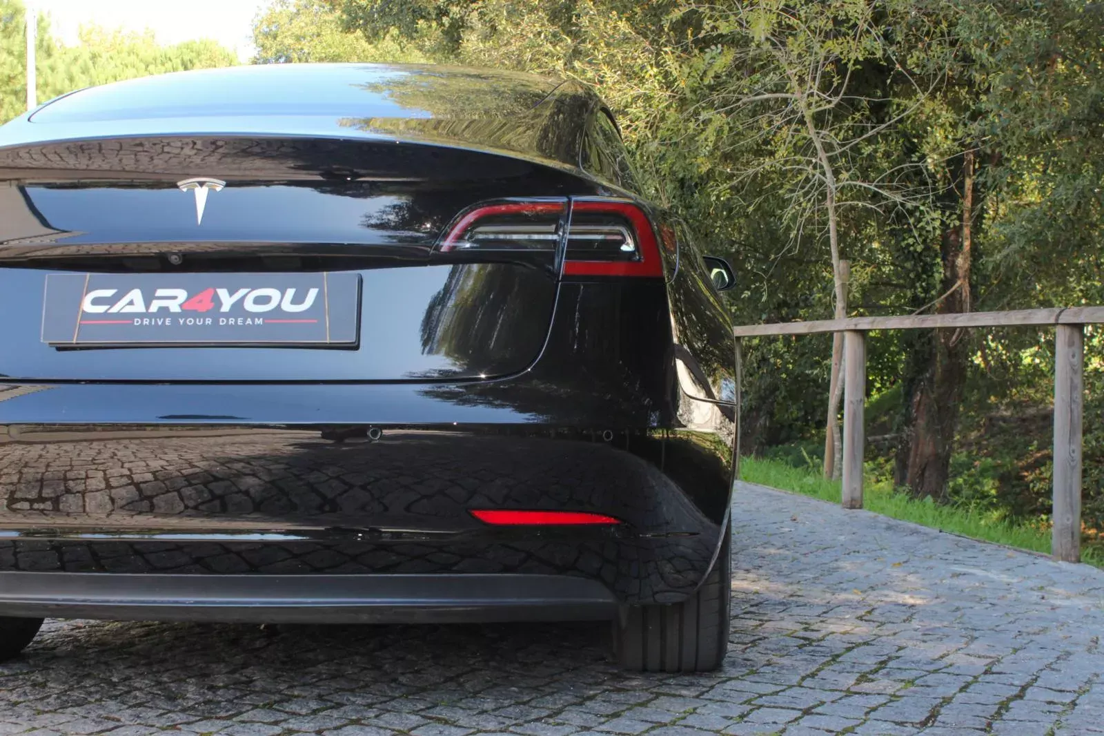 Tesla Model 3 Standard RWD Plus 18