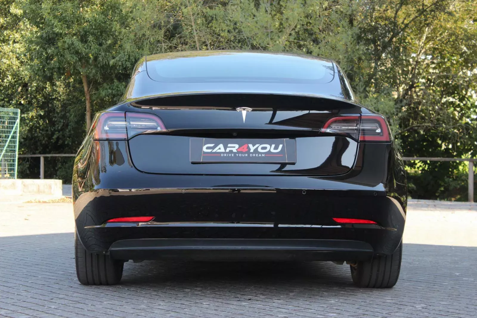 Tesla Model 3 Standard RWD Plus 19