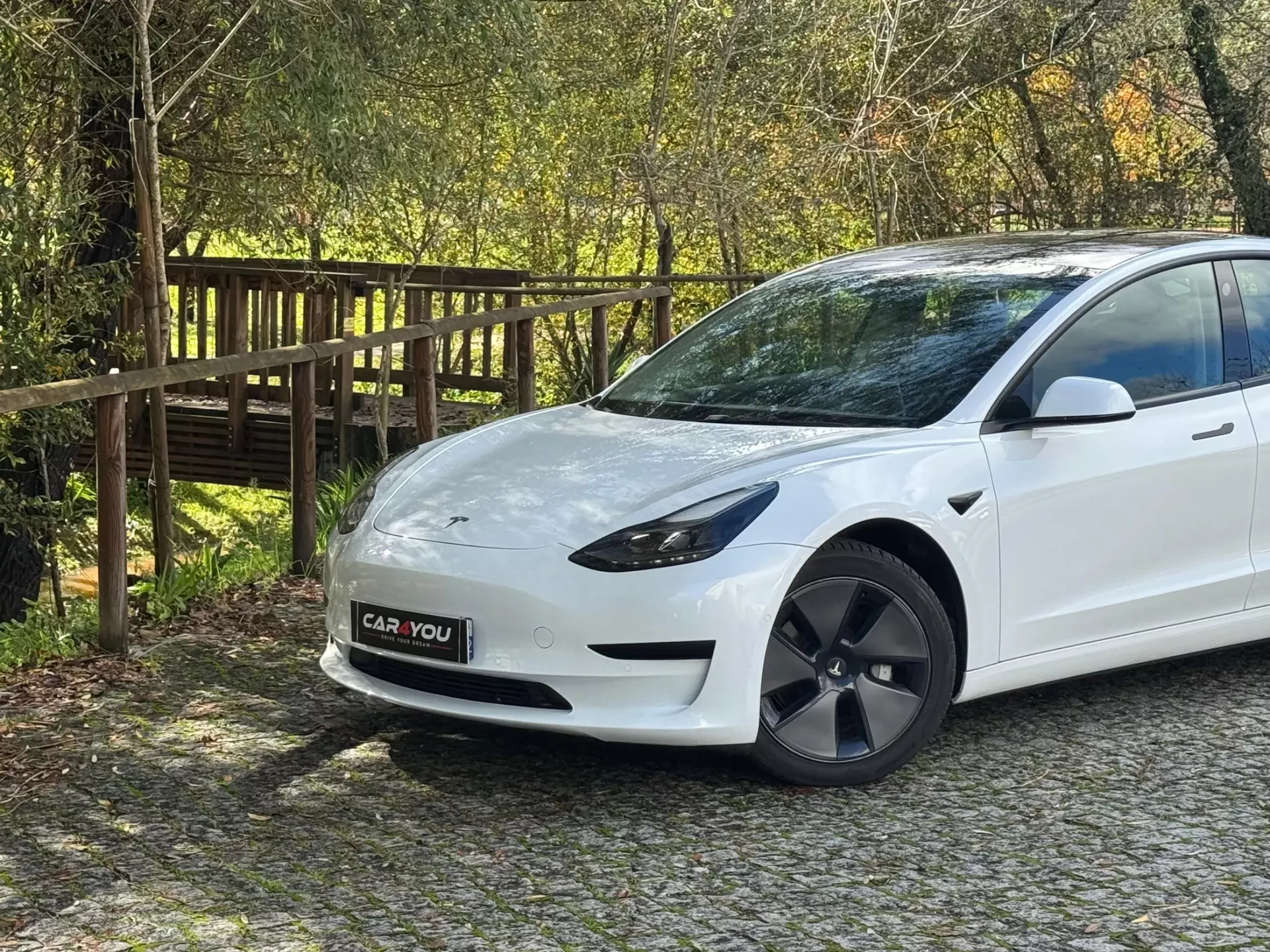Tesla Model 3 Standard Range Plus RWD 2