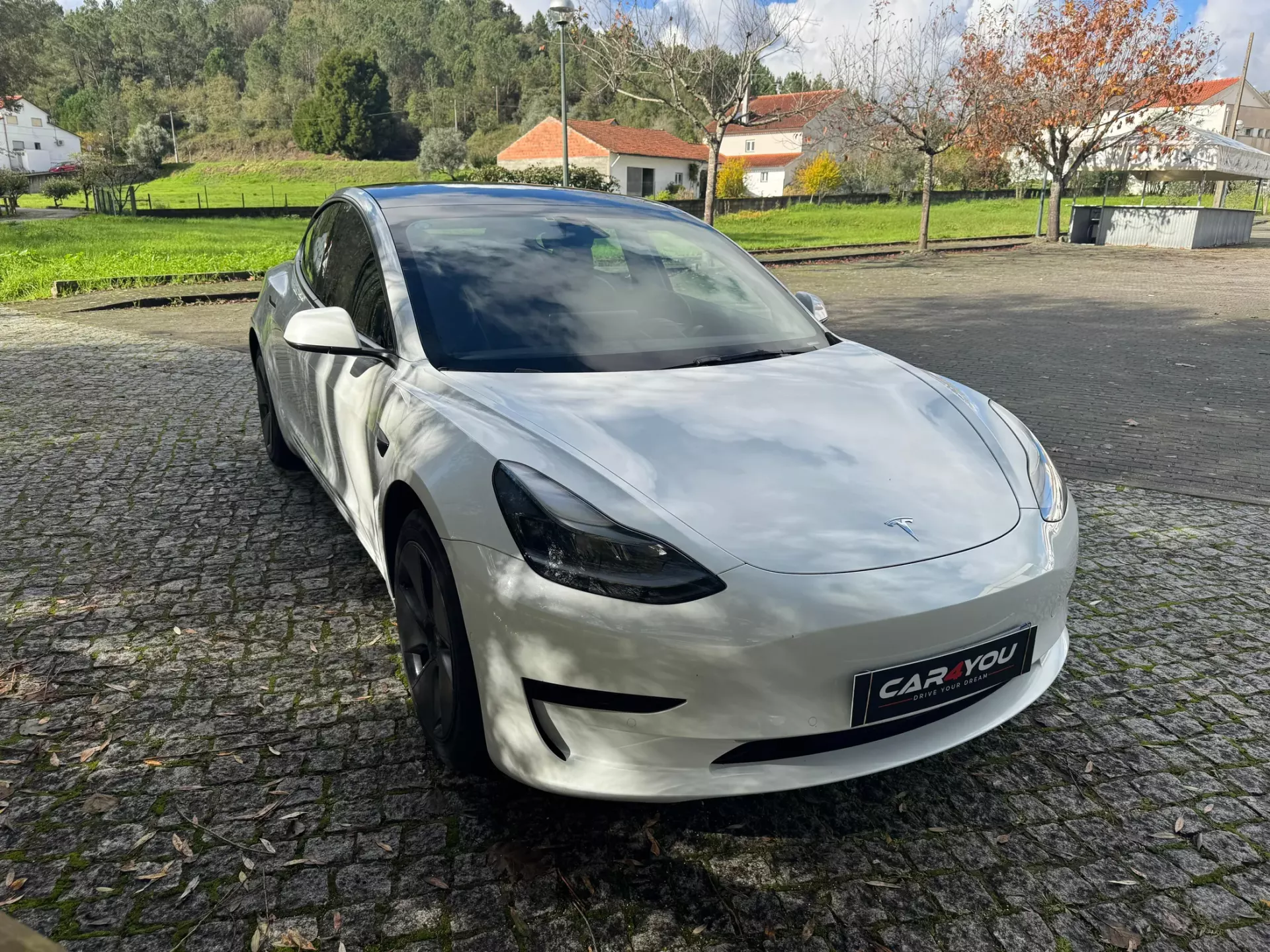 Tesla Model 3 Standard Range Plus RWD 10