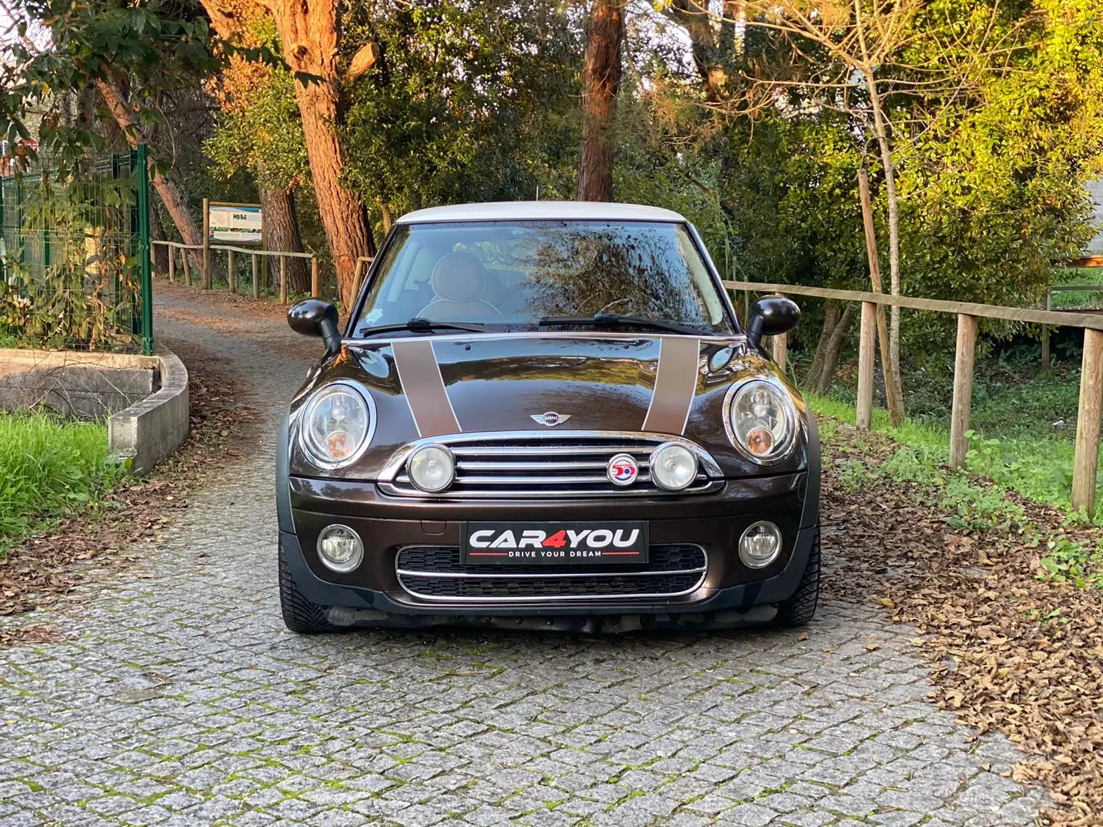 MINI 3 Portas Cooper D 19