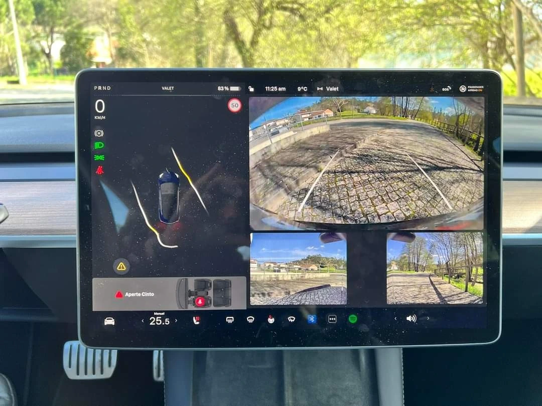 Tesla Model 3 Performance Dual Motor AWD 18