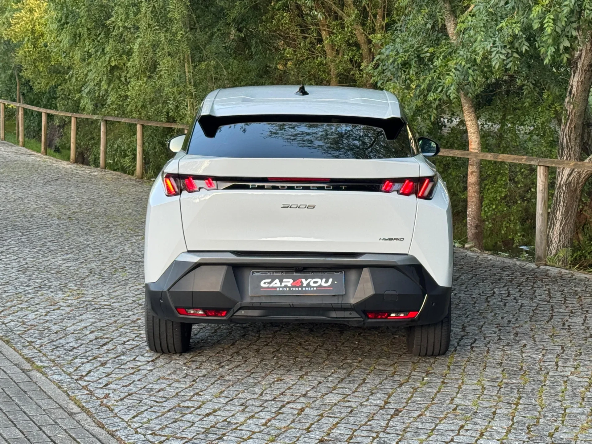 Peugeot 3008 1.2 Hybrid Allure e-DCS6 13