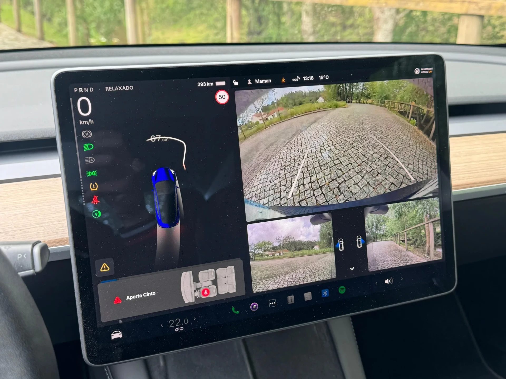 Tesla Model 3 Standard Range Plus RWD 18