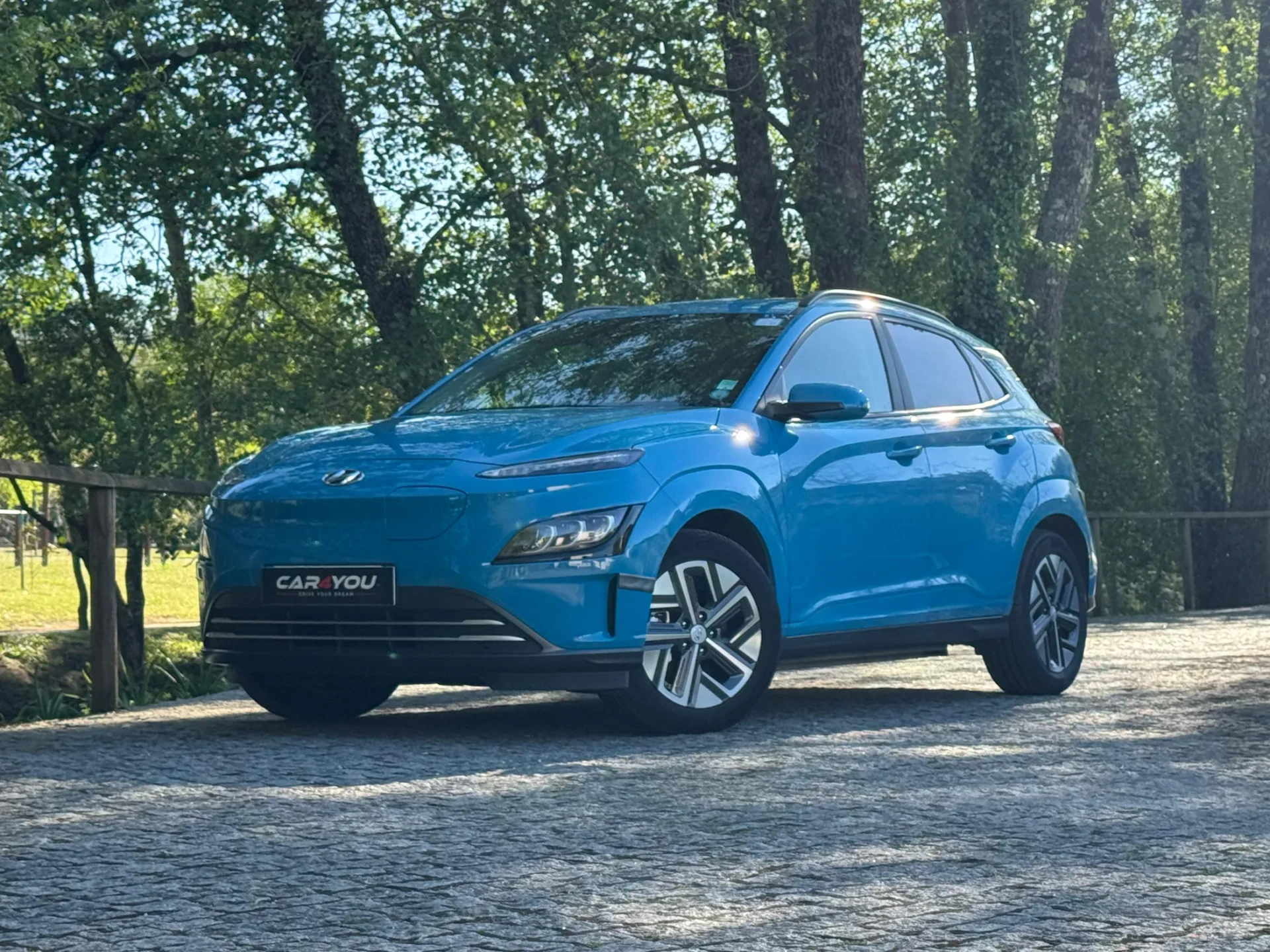 Hyundai Kauai 64 kWh Premium 6