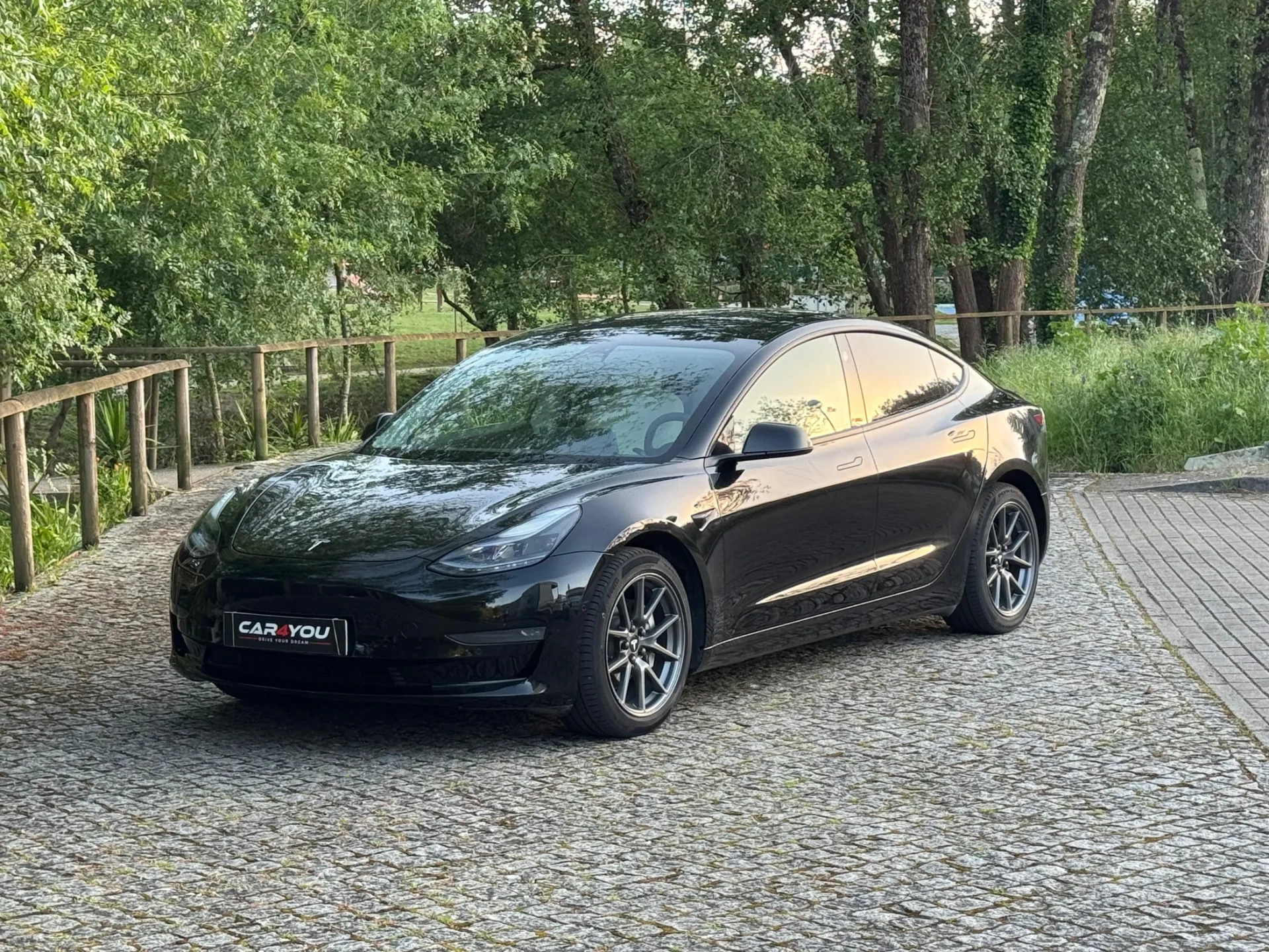 Tesla Model 3 Long Range AWD Dual Motor 12