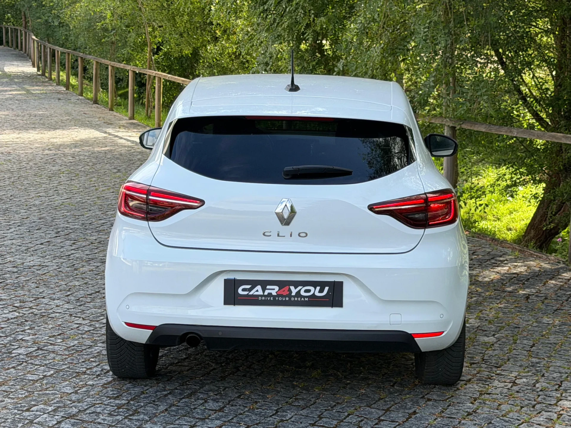 Renault Clio 1.5 Blue dCi Evolution 17