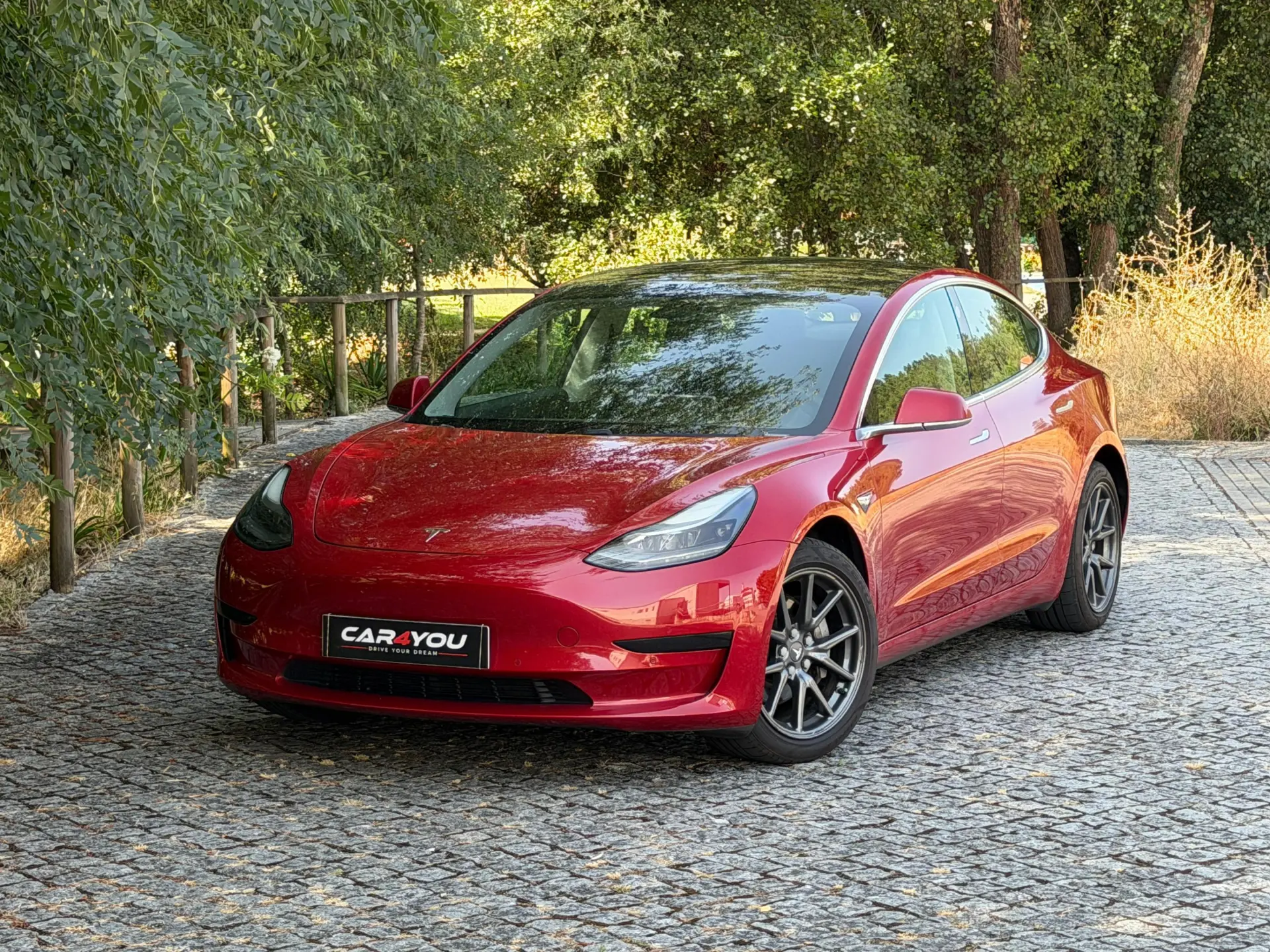 Tesla Model 3 Standard Range Plus RWD 4