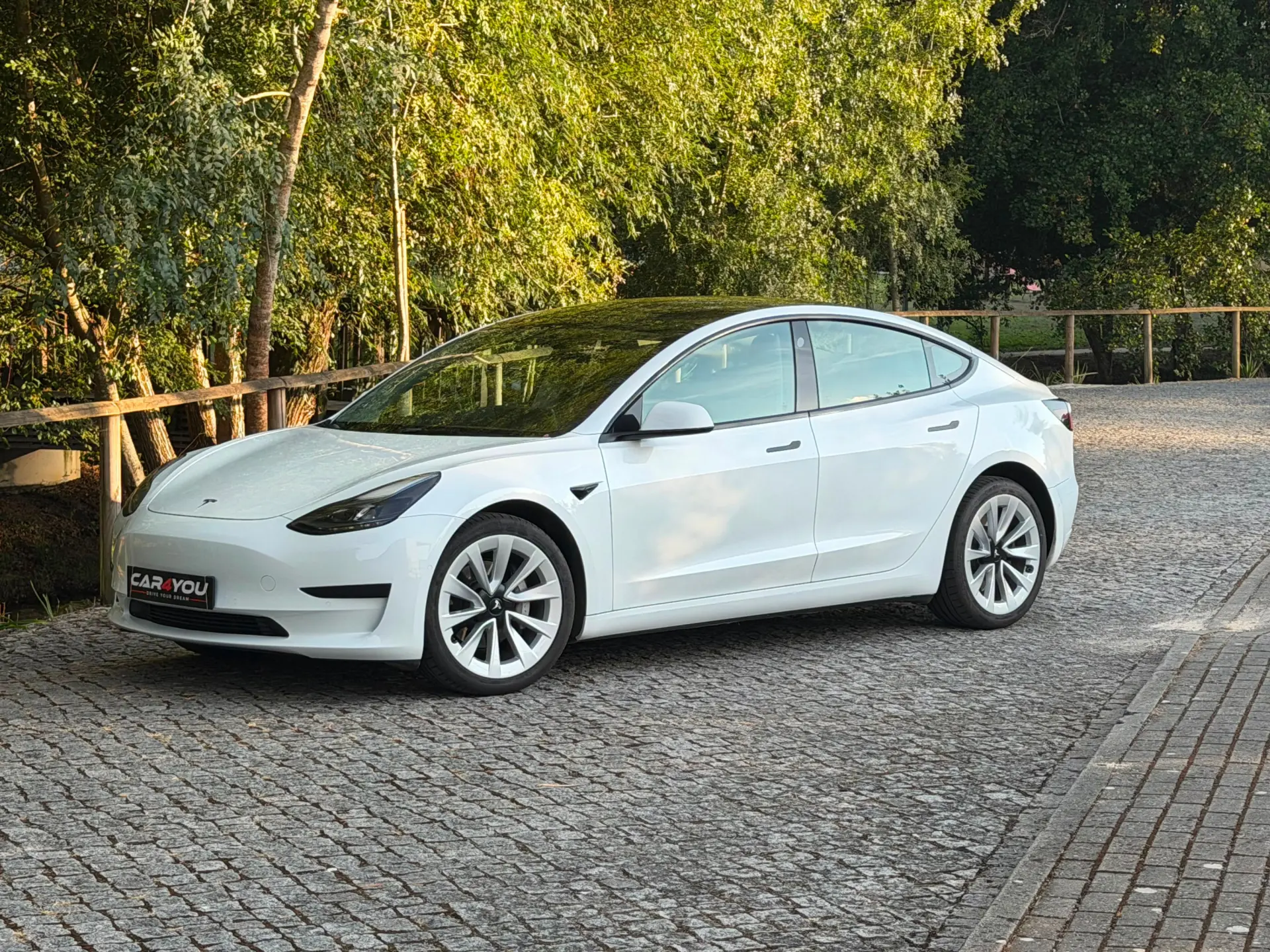 Tesla Model 3 Standard RWD 9
