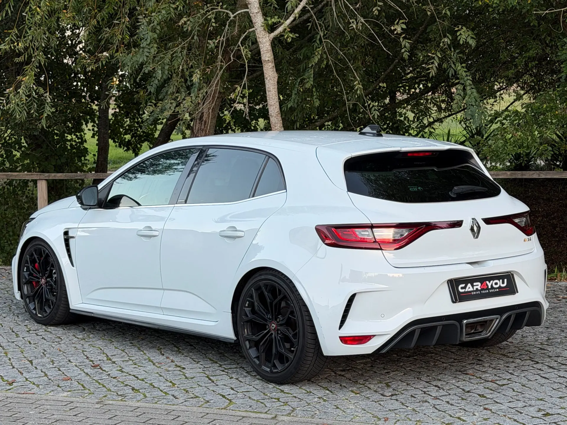 Renault Mégane 1.8 TCe R.S. Trophy 10