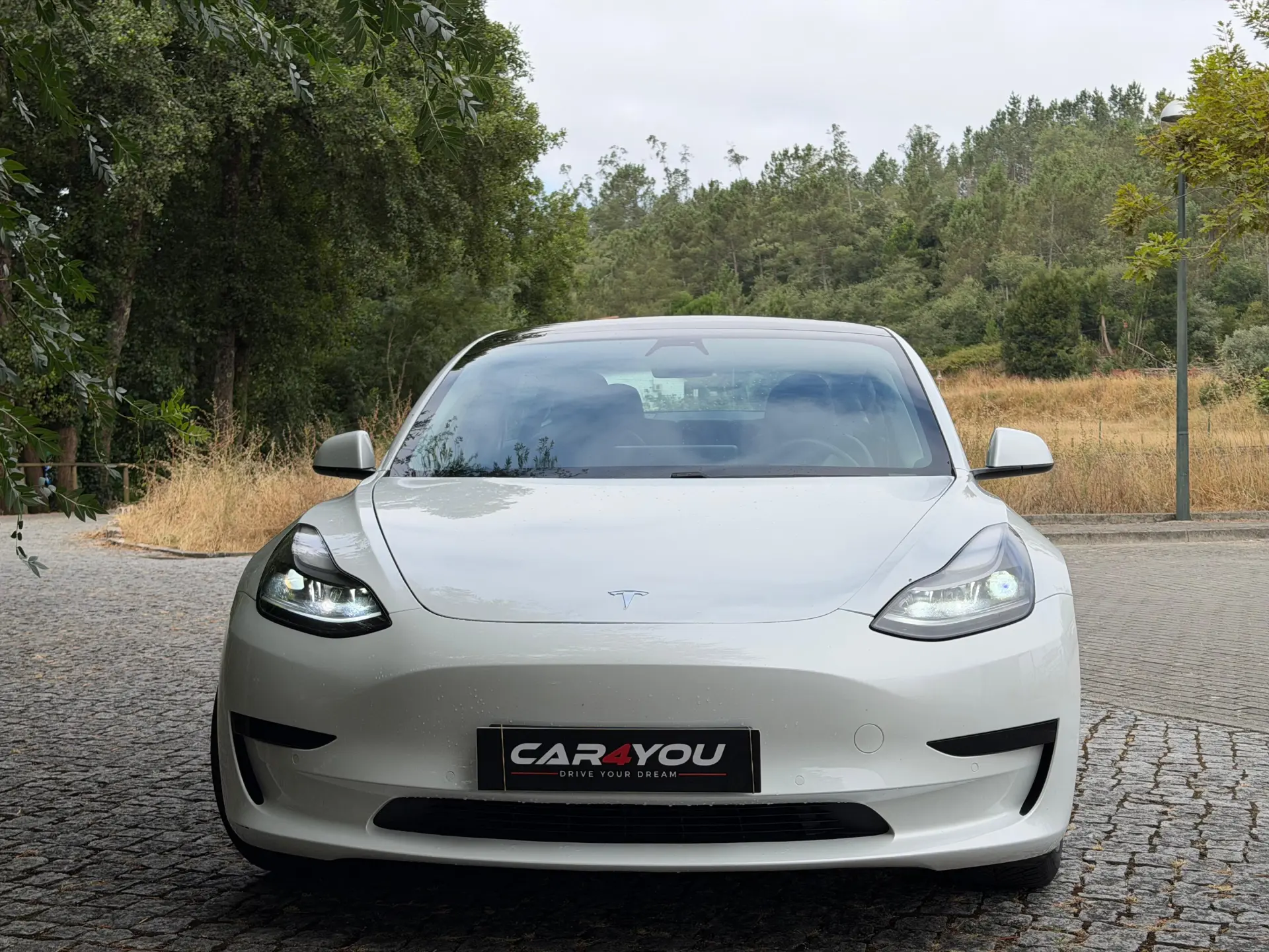 Tesla Model 3 Standard Range Plus RWD 9