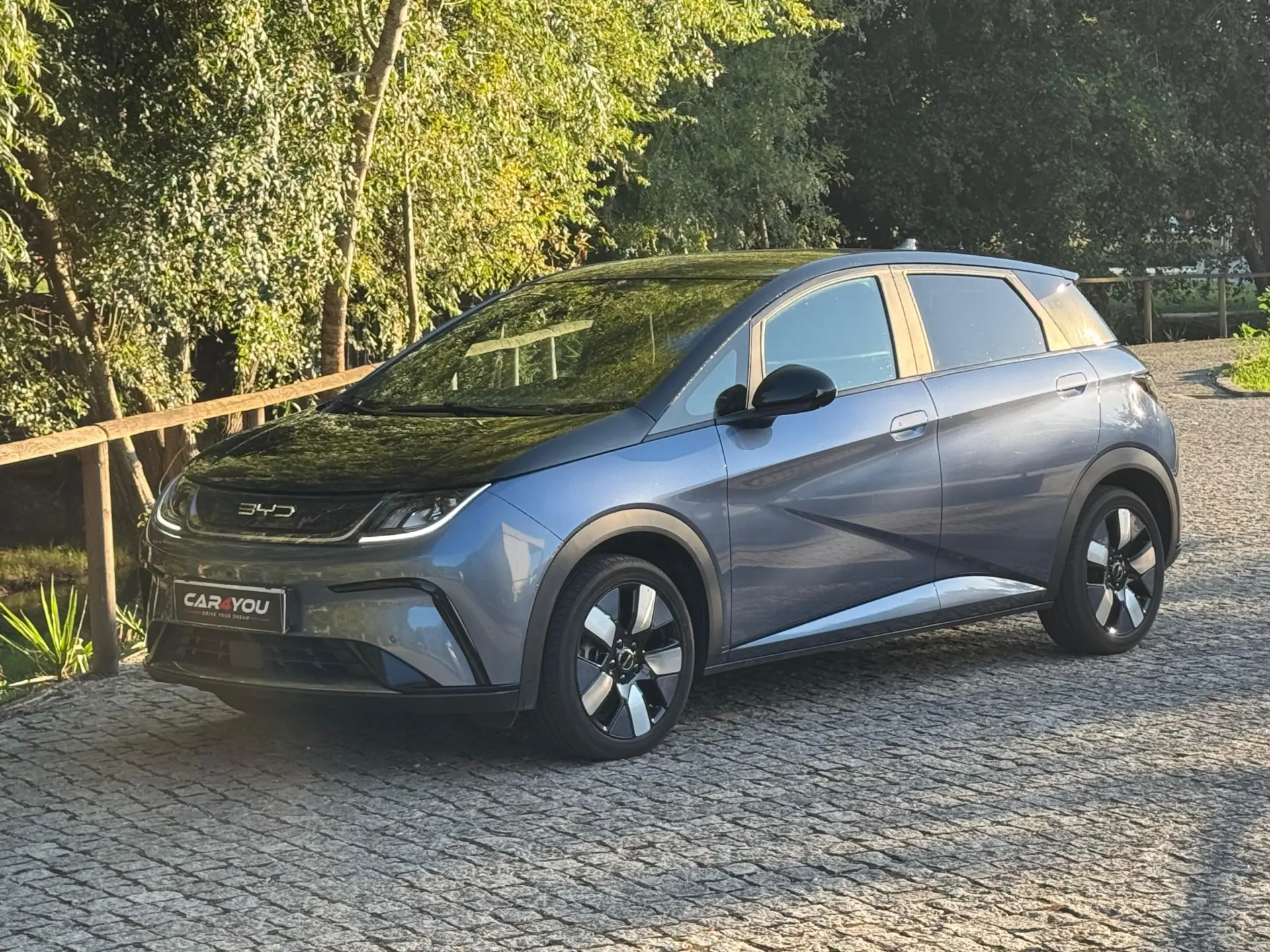 BYD Dolphin 60.4 kWh Design 4