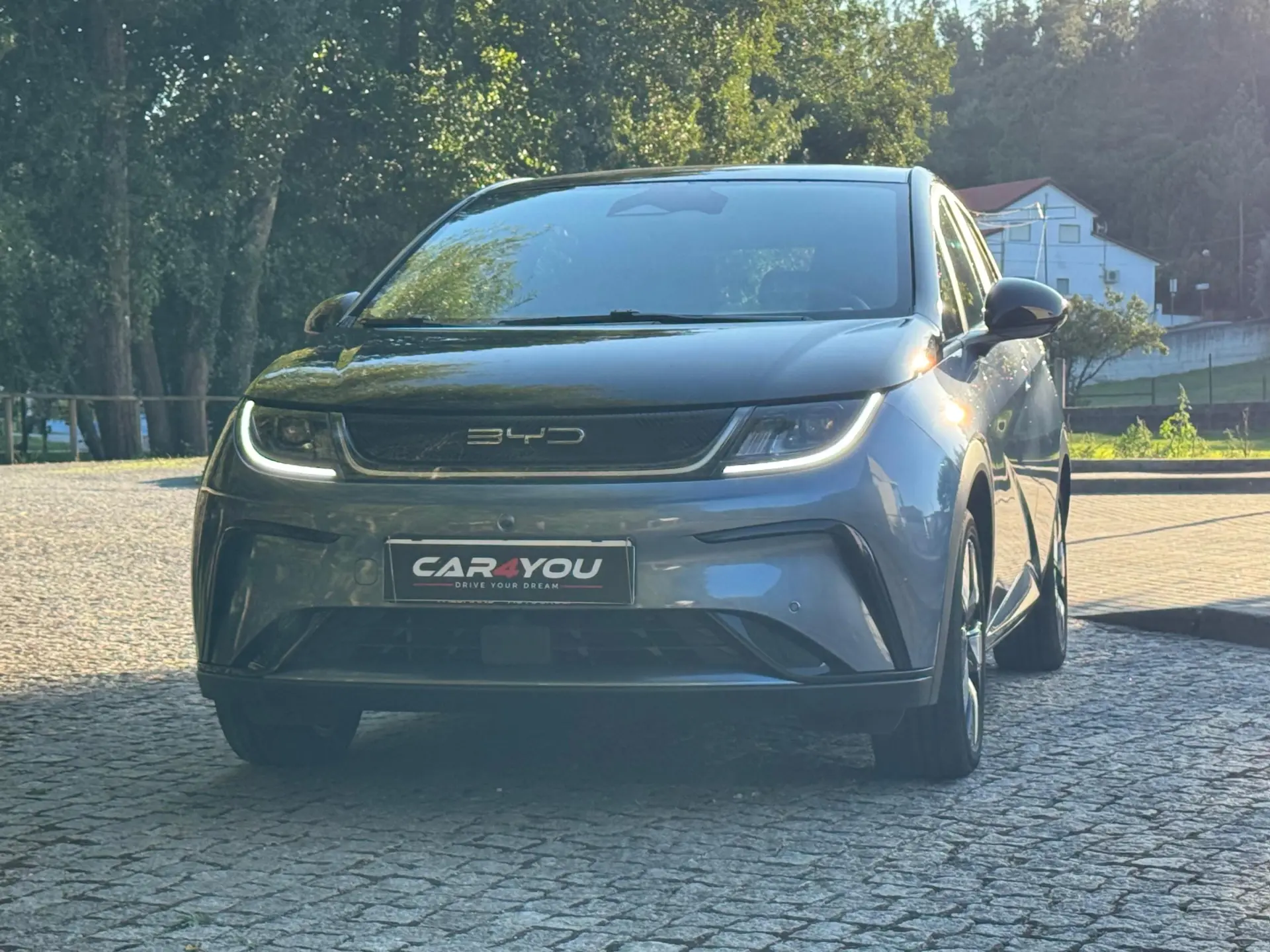 BYD Dolphin 60.4 kWh Design 9
