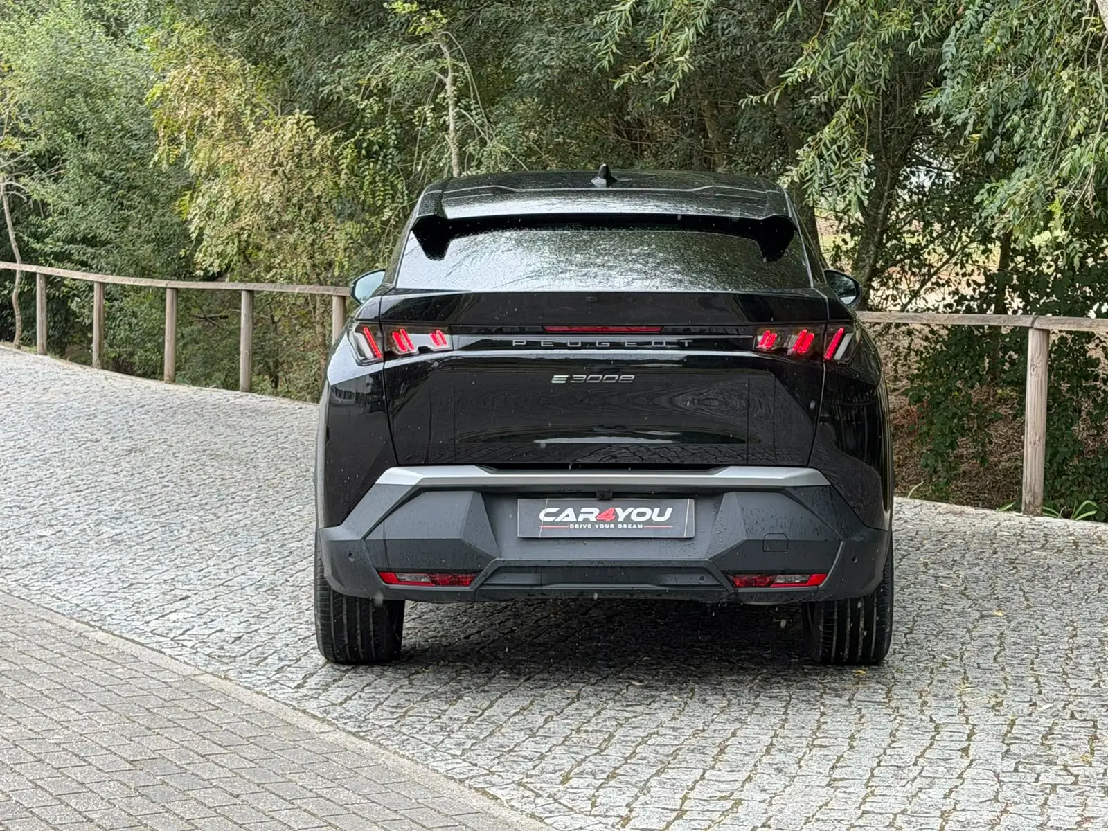 Peugeot E-3008 73 kWh Allure 11