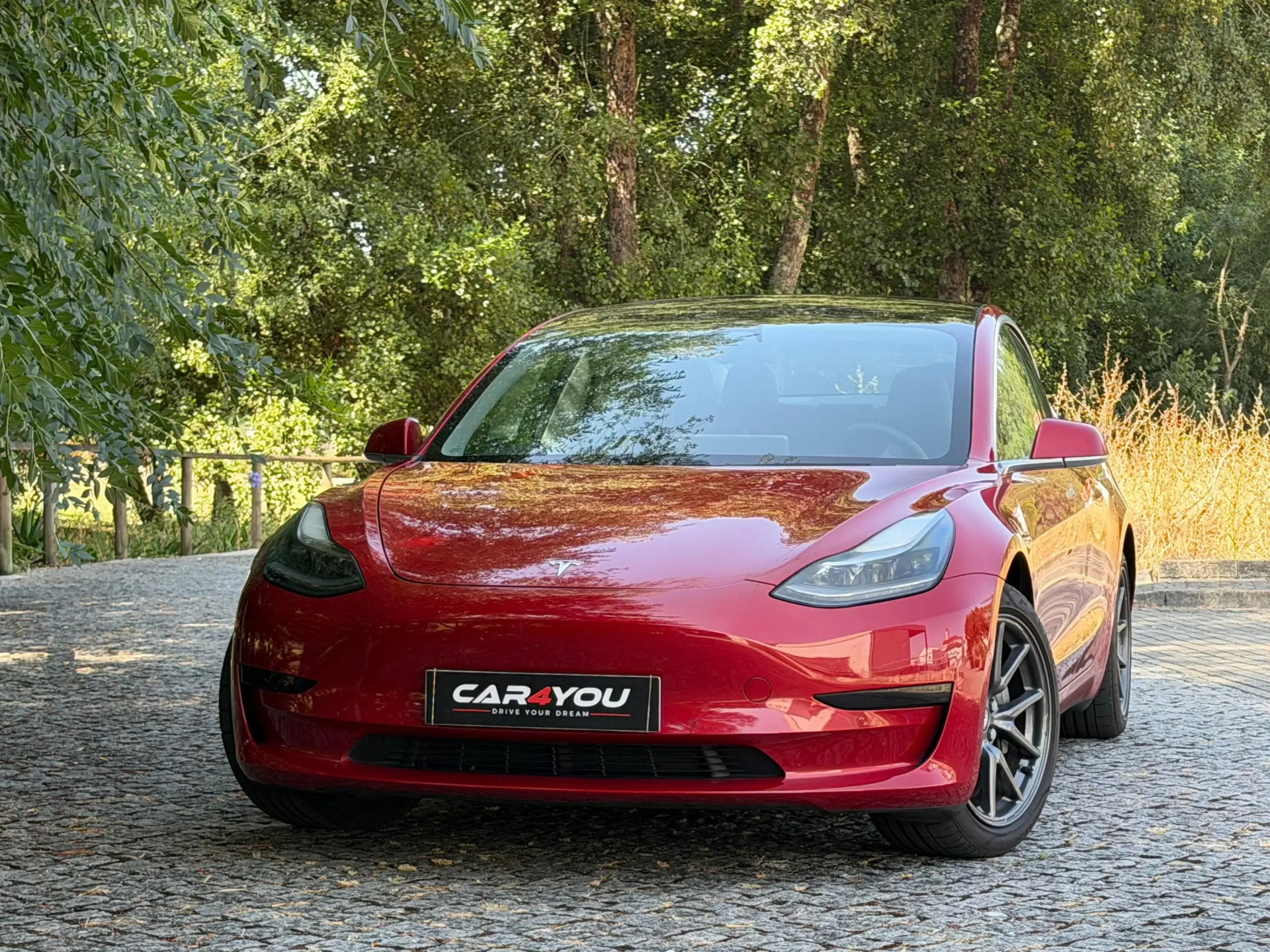 Tesla Model 3 Standard Range Plus RWD 16