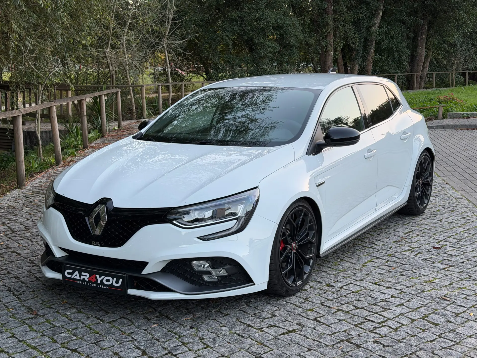 Renault Mégane 1.8 TCe R.S. Trophy 4