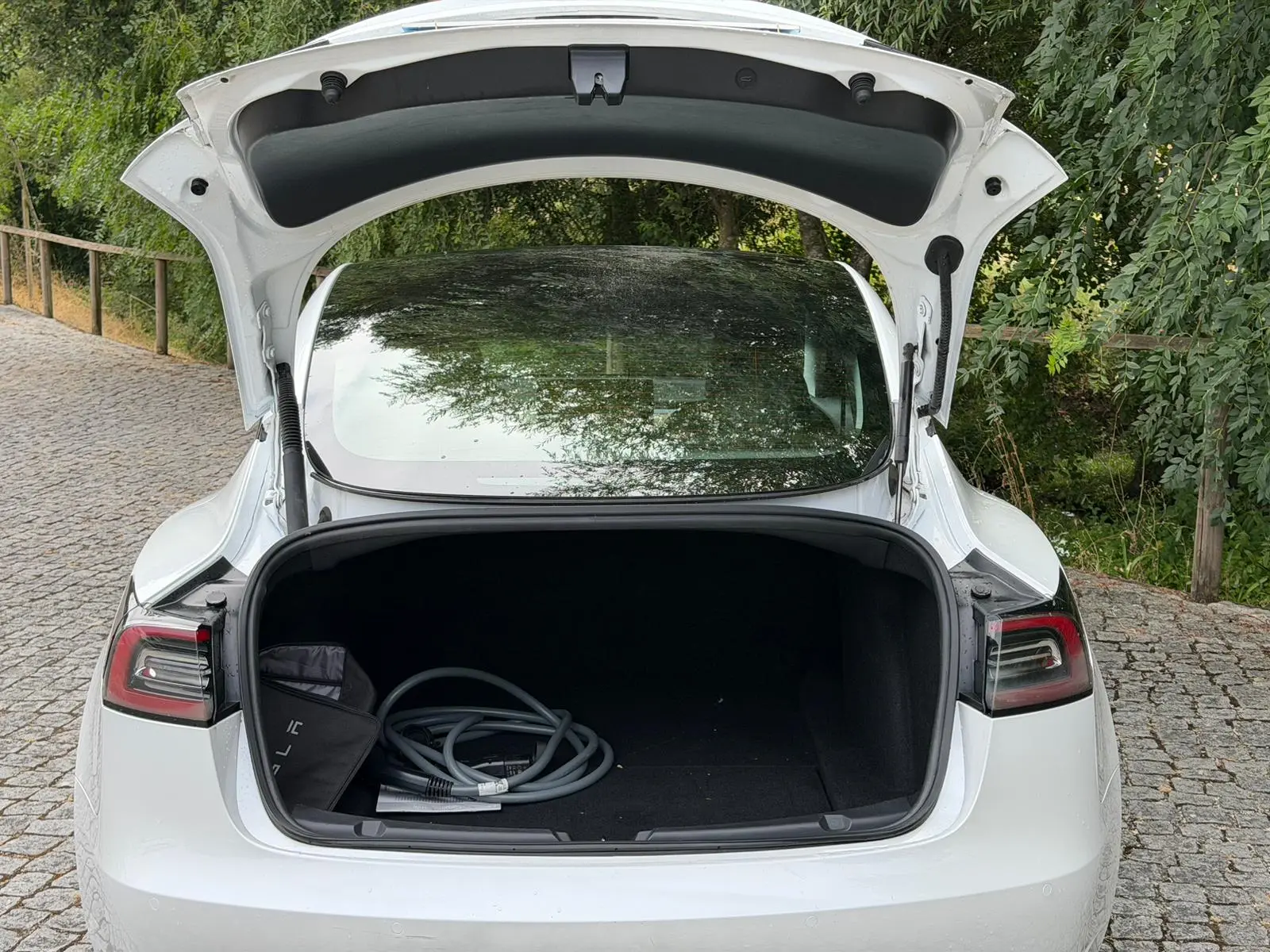 Tesla Model 3 Standard Range Plus RWD 12