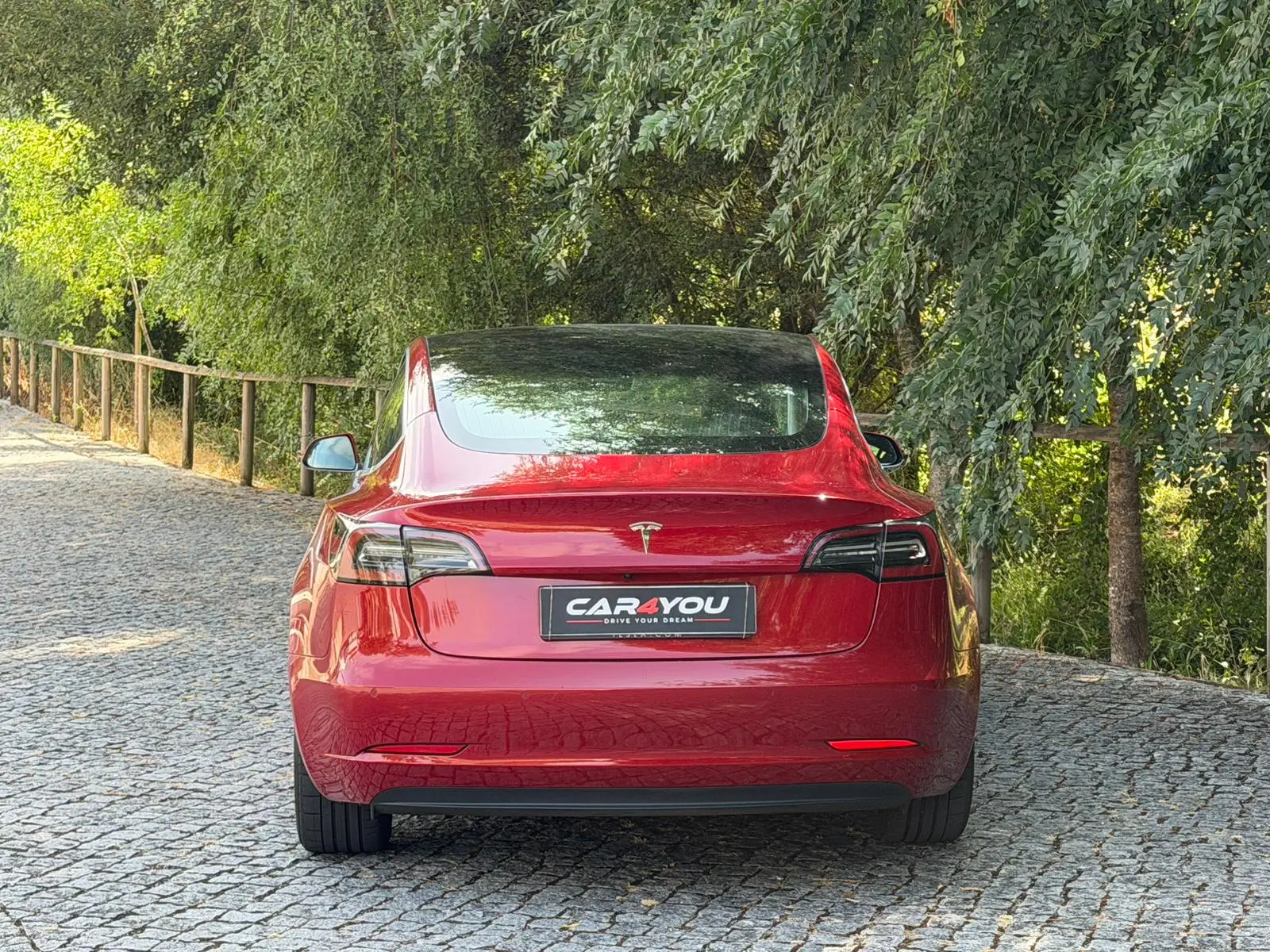 Tesla Model 3 Standard Range Plus RWD 18