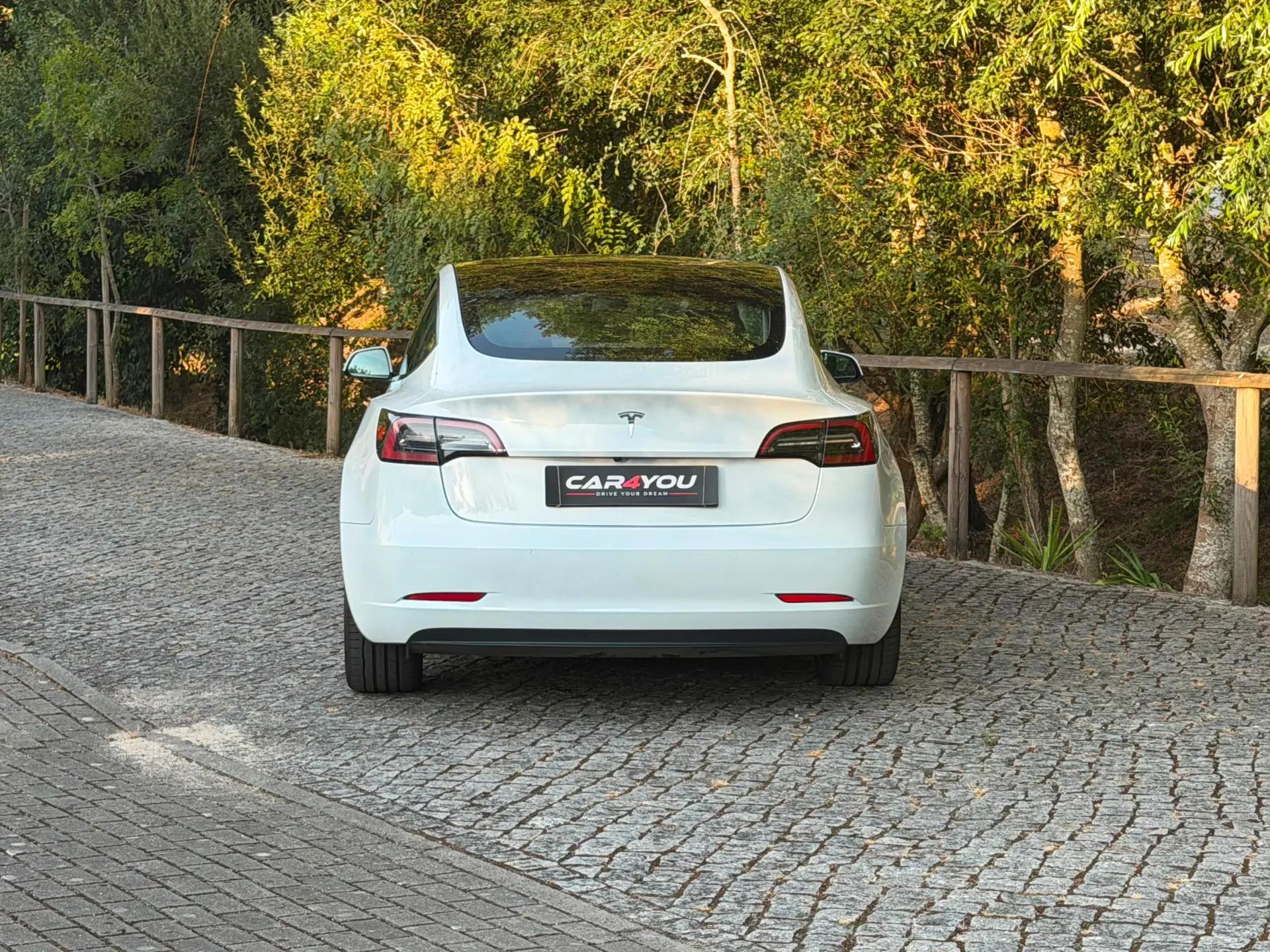 Tesla Model 3 Standard RWD 12