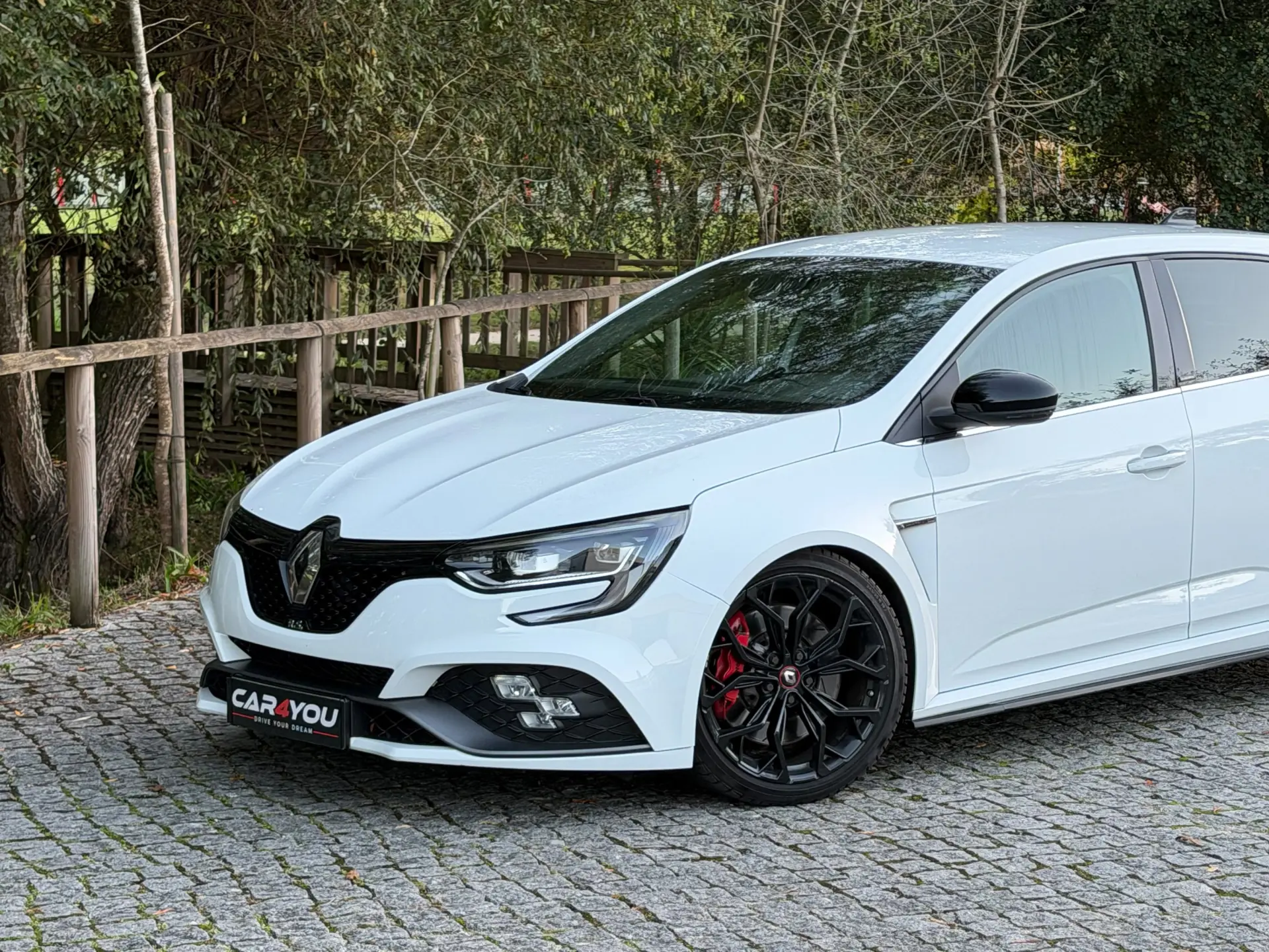 Renault Mégane 1.8 TCe R.S. Trophy 2