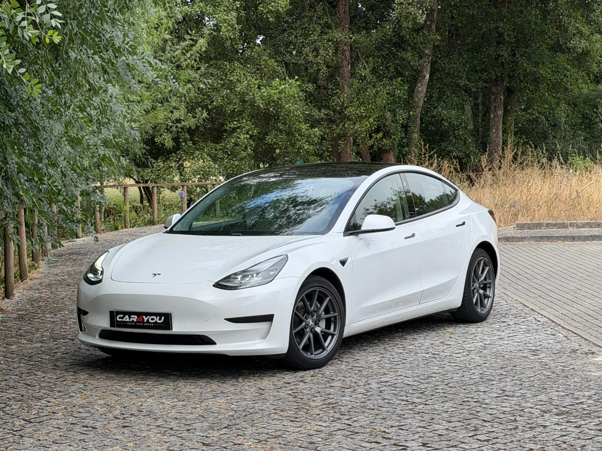 Tesla Model 3 Standard Range Plus RWD 1