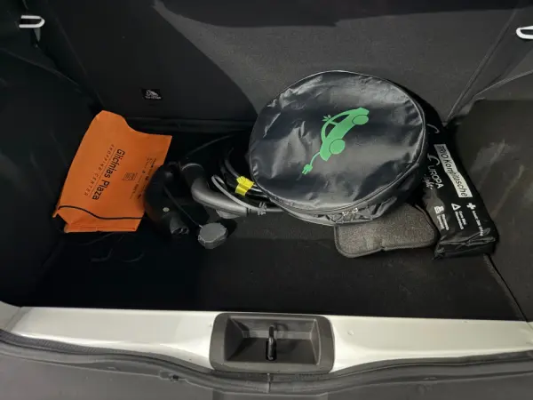 Dacia Spring Electric 45 Expression 26