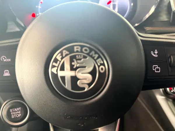 Alfa Romeo Tonale 1.3 Plug-In Hybrid Edizione Speciale e-AWD 31