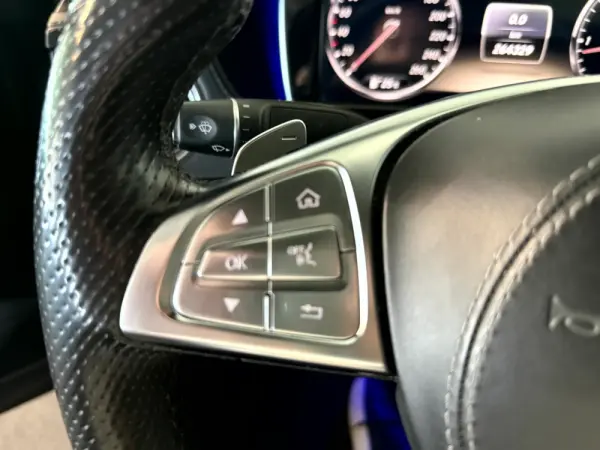 Mercedes-Benz S 350 BlueTEC 30