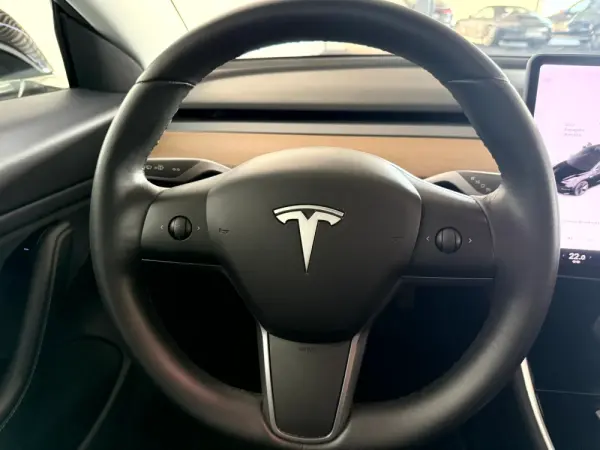 Tesla Model 3 Standard RWD Plus 15