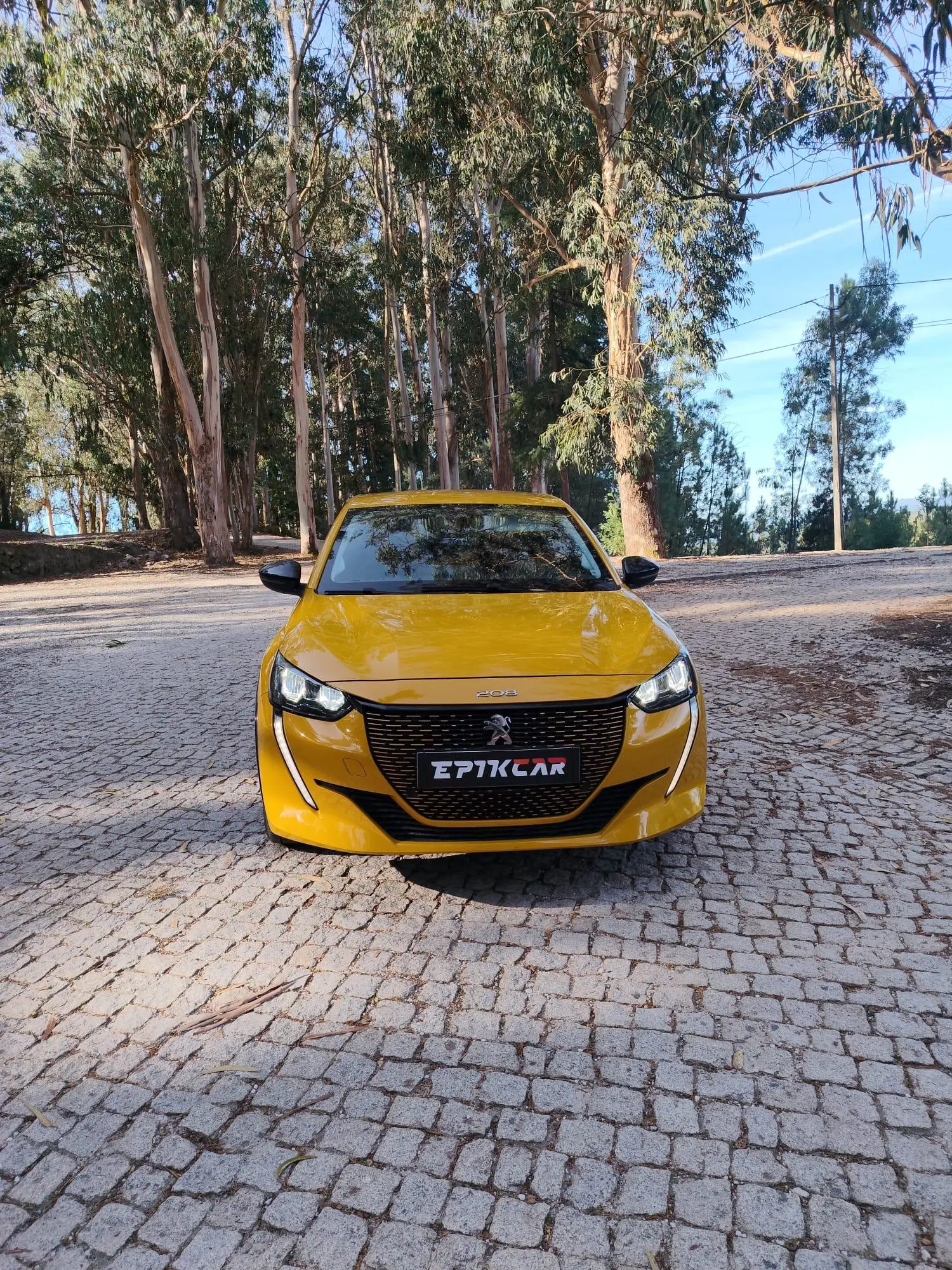 Peugeot e-208 50 kWh Active 13