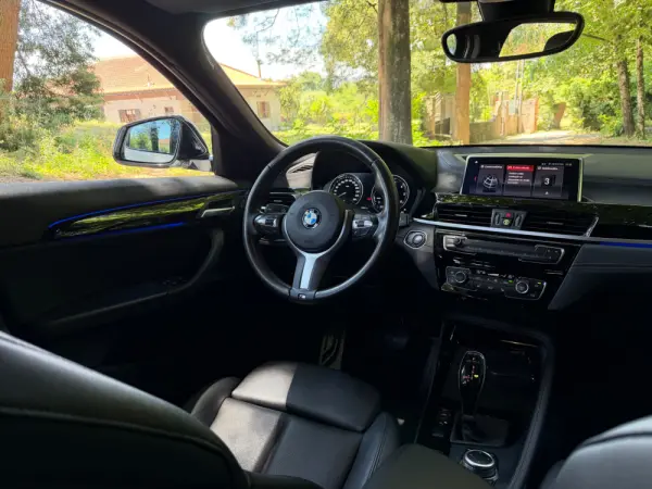 BMW X2 16 d sDrive Auto X Pack M 14