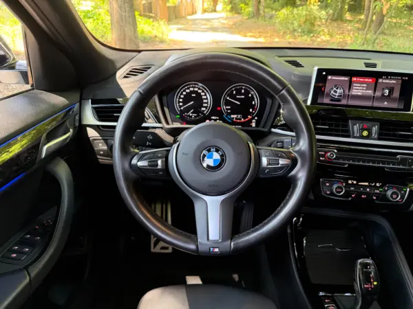 BMW X2 16 d sDrive Auto X Pack M 17