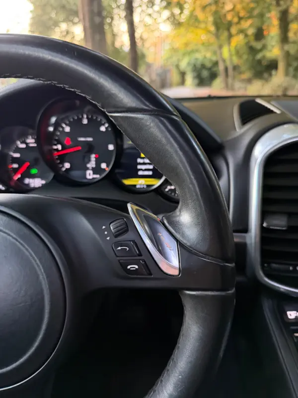 Porsche Cayenne Platinum Edition 18