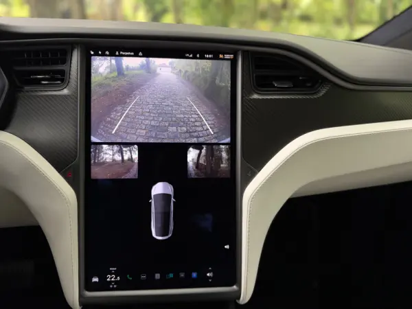 Tesla Model X 100D 16