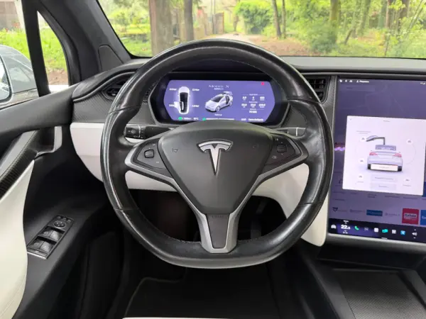 Tesla Model X 100D 9