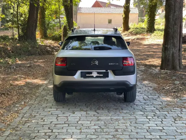 Citroen C4 Cactus 1.6 BlueHDi Feel 38