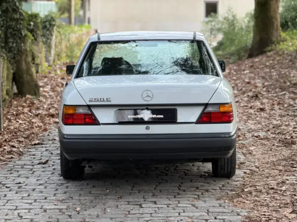 Mercedes-Benz 260 260 E 6