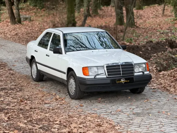Mercedes-Benz 260 260 E 29