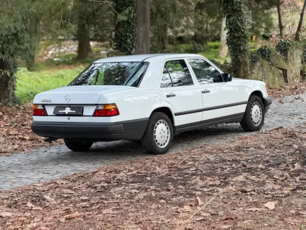 Mercedes-Benz 260 260 E 31
