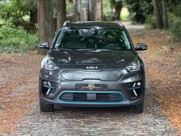 Kia e-Niro 64kWh 3