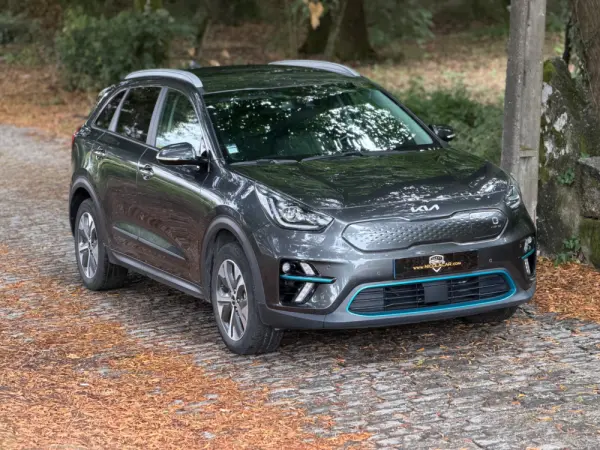 Kia e-Niro 64kWh 29