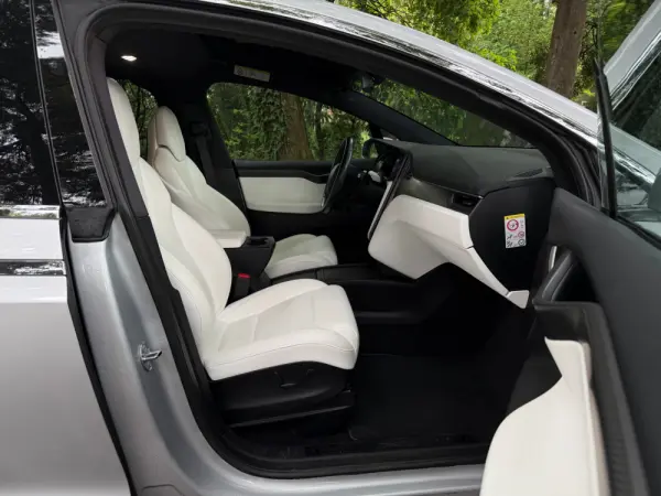 Tesla Model X 100D 15