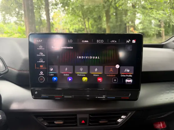 Cupra Born 58 kWh 21