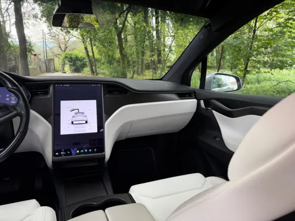Tesla Model X 100D 31