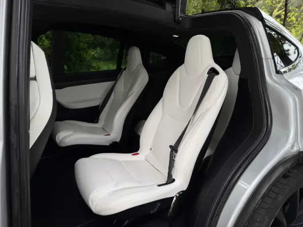 Tesla Model X 100D 26