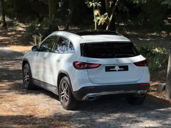 Mercedes-Benz GLA 250 e 8G-DCT Special Edition 59